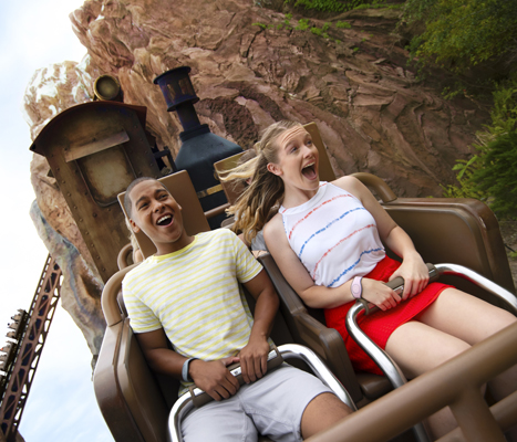 Theme Park FAQs