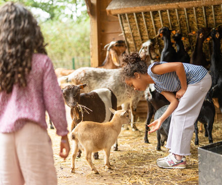 Children's Farm