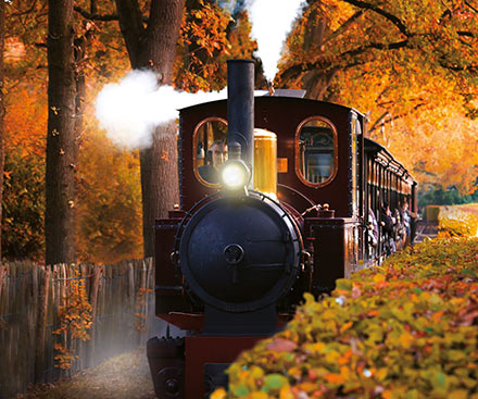 Stoomtrein