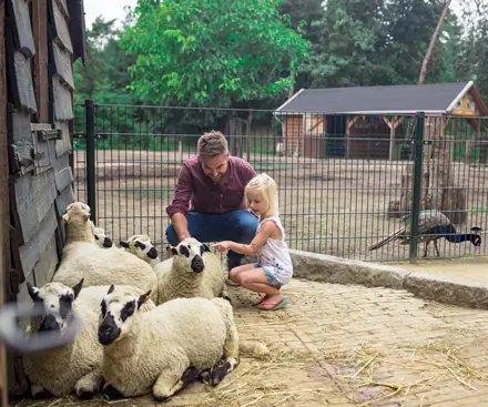 The Children's Farm