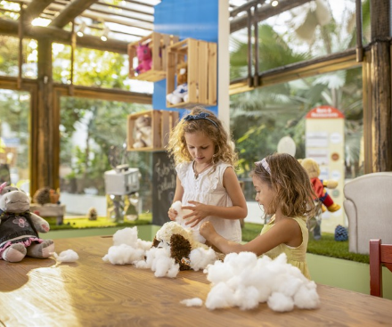 23rd November 2026